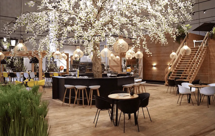 Voorbeeld van een Professioneel Lichtplan